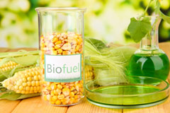 Botloes Green biofuel availability
