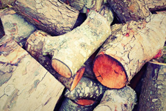 Botloes Green wood burning boiler costs